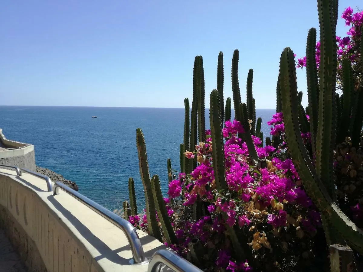 Luxury 2 Bedroom Apt 2 Min From Beach Mogán 0*,